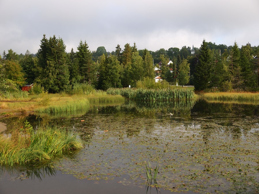 Drammen