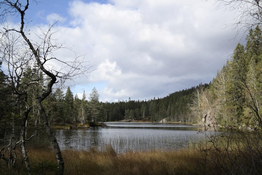 Drammen

