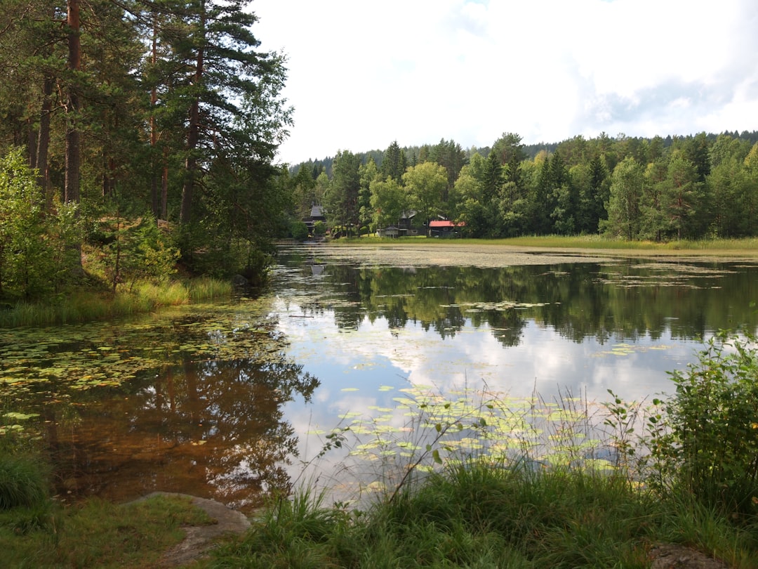 Photo Drammen