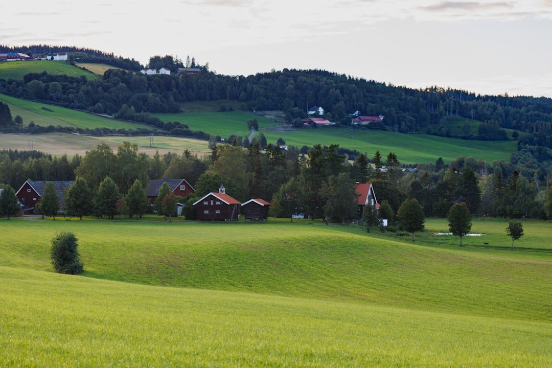 Photo Norway Summer