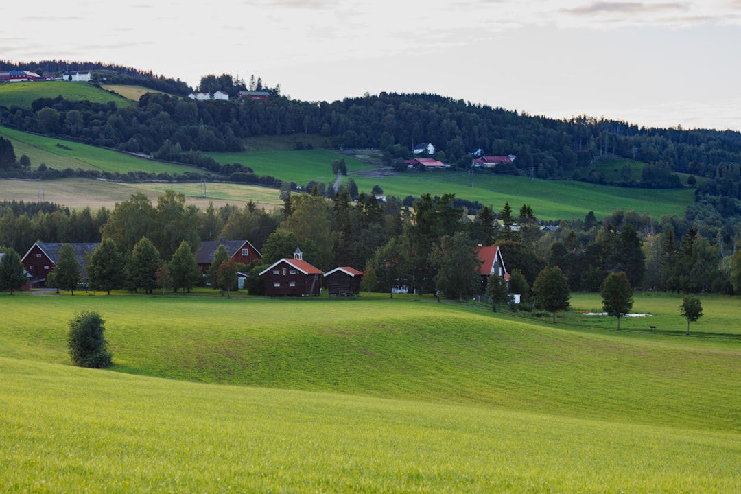 Photo Norway Summer