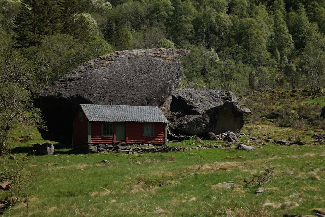 Photo Norway Summer