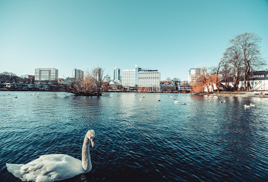 Stavanger
