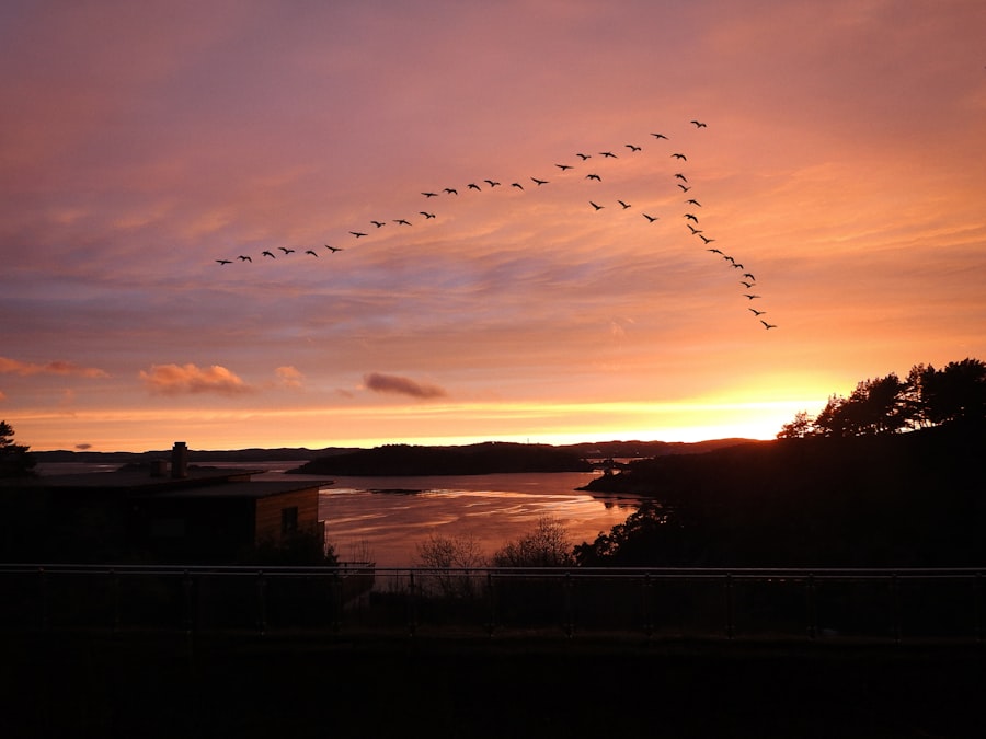 Kristiansand