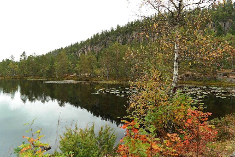 Drammen
