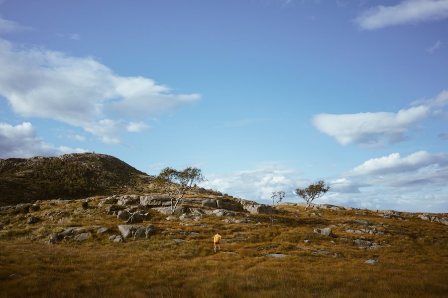 Sandnes
