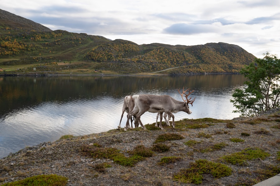 Photo Hammerfest