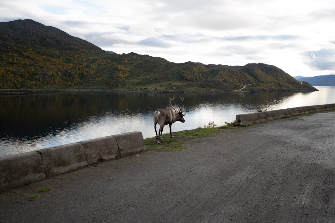 Photo Hammerfest