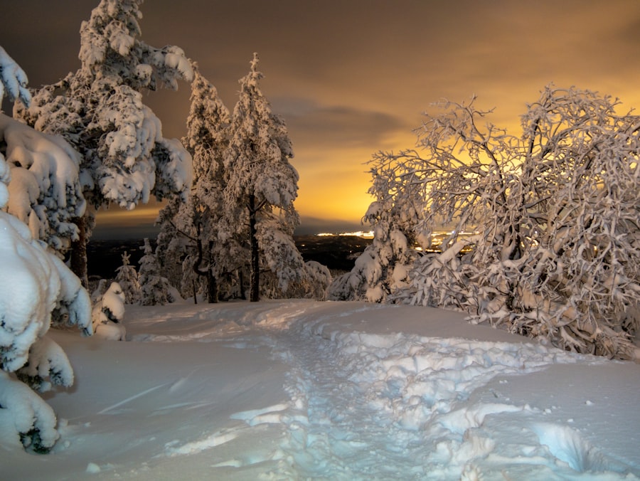 Photo Skien
