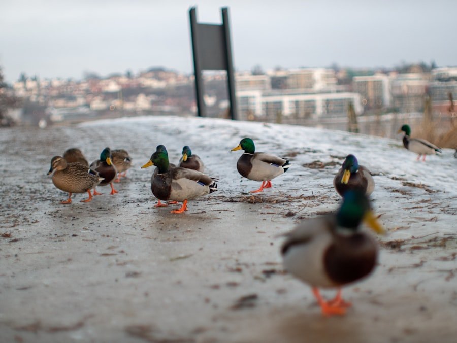 Photo Skien
