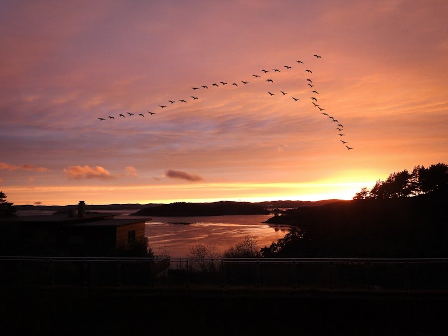 Photo Kristiansand
