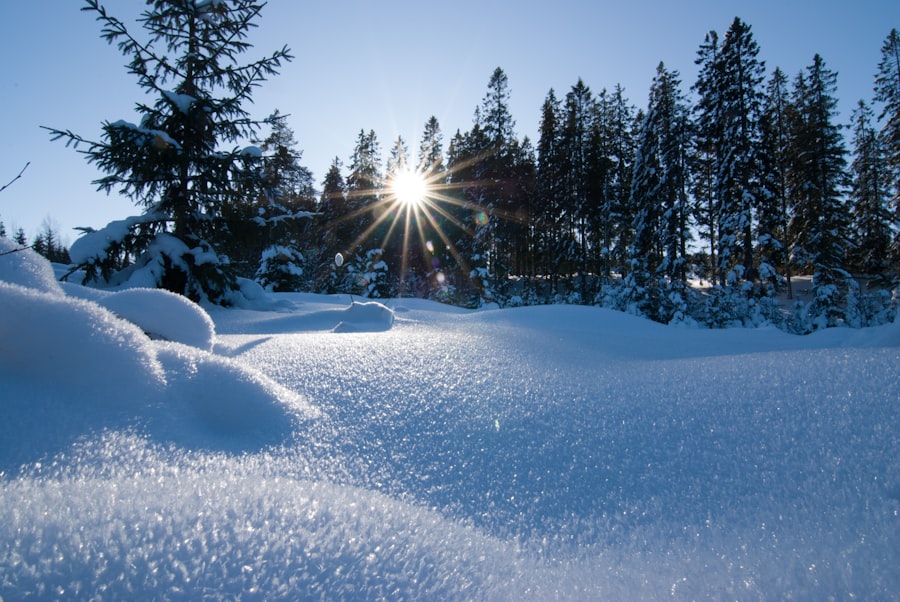 oslo winter
