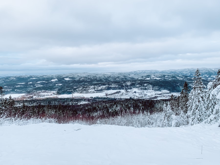 Photo oslo winter
