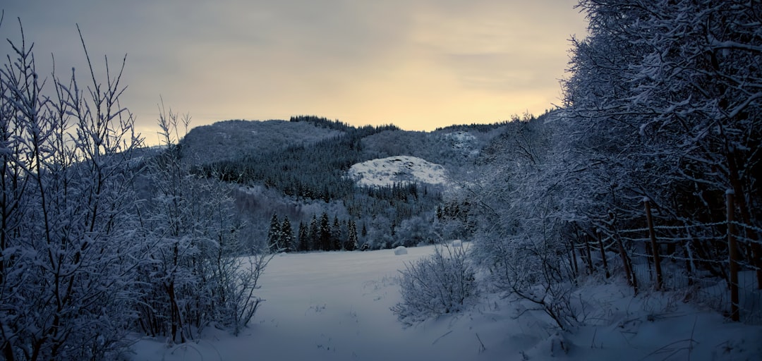 Photo norway winter