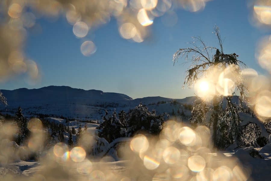 Photo norway winter
